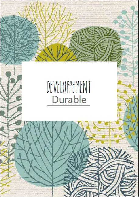 Couverture DDD4