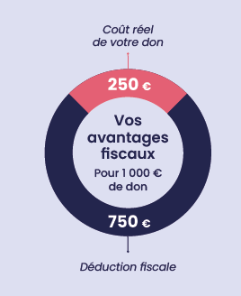 Budget 2 schema ifi 1