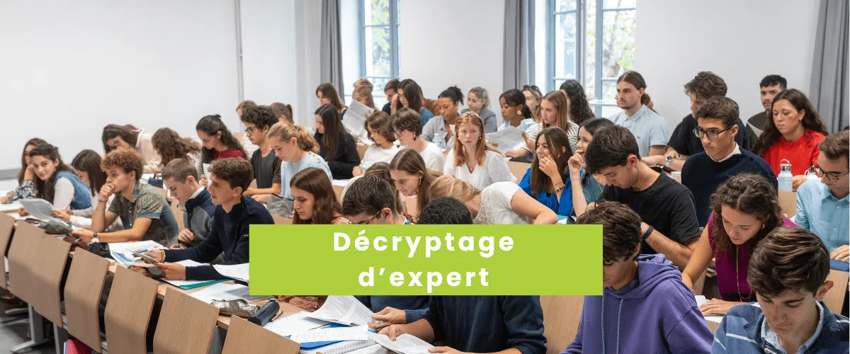 vignette site decryptage sylvain 1 1